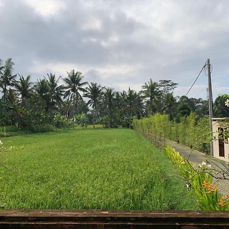 Adi Laxmi Villa Ubud Buitenkant foto
