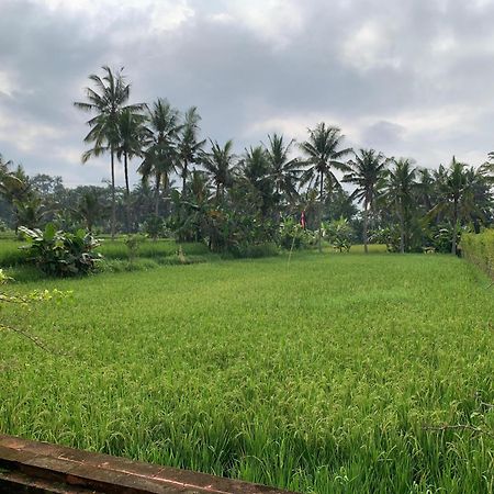 Adi Laxmi Villa Ubud Buitenkant foto