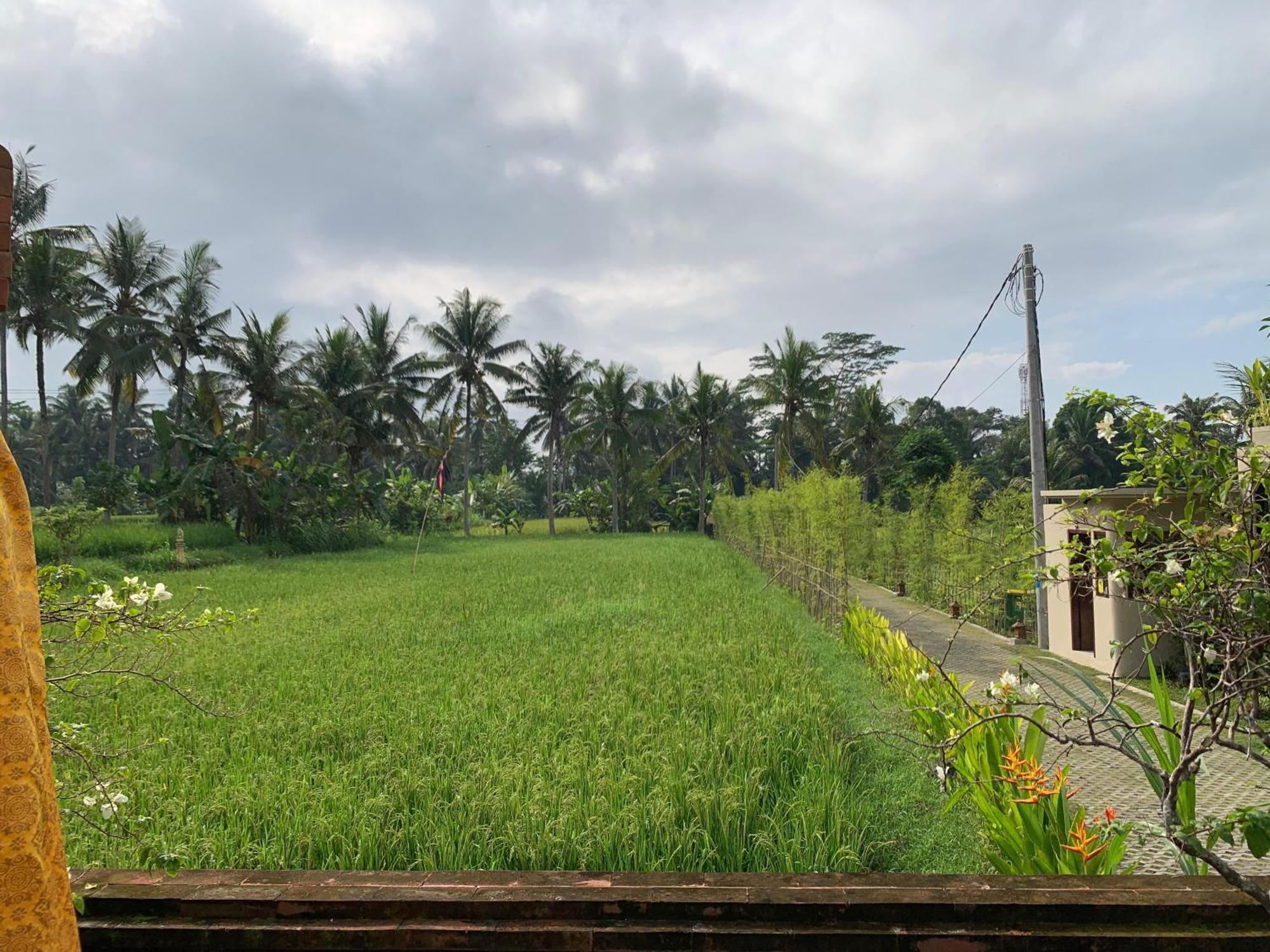 Adi Laxmi Villa Ubud Buitenkant foto